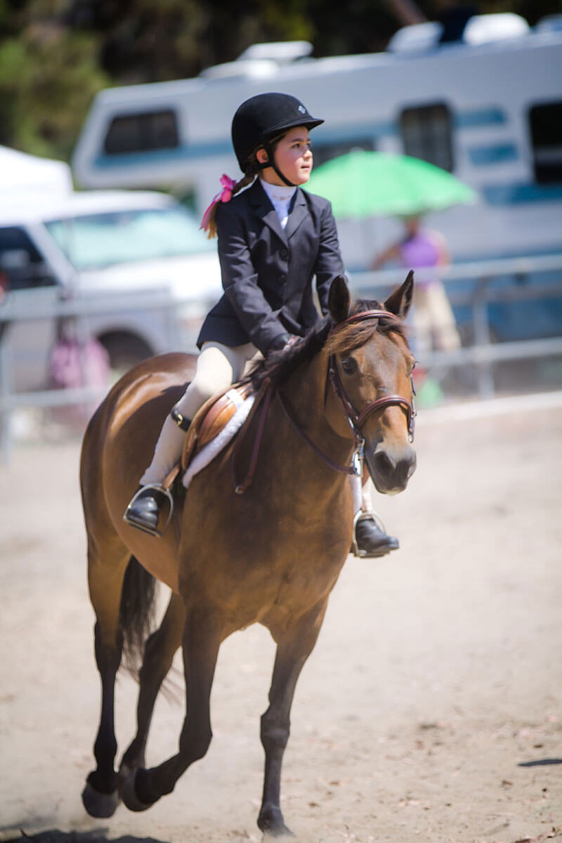 sunnyside-saddle-club-aug-2016-horse-show-gallery