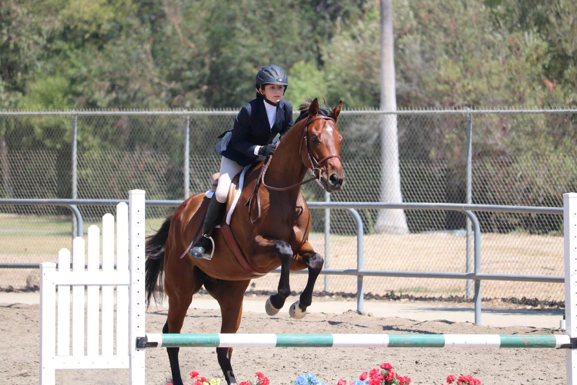 Horse Shows Sunnyside Saddle Club Bonita, Chula Vista