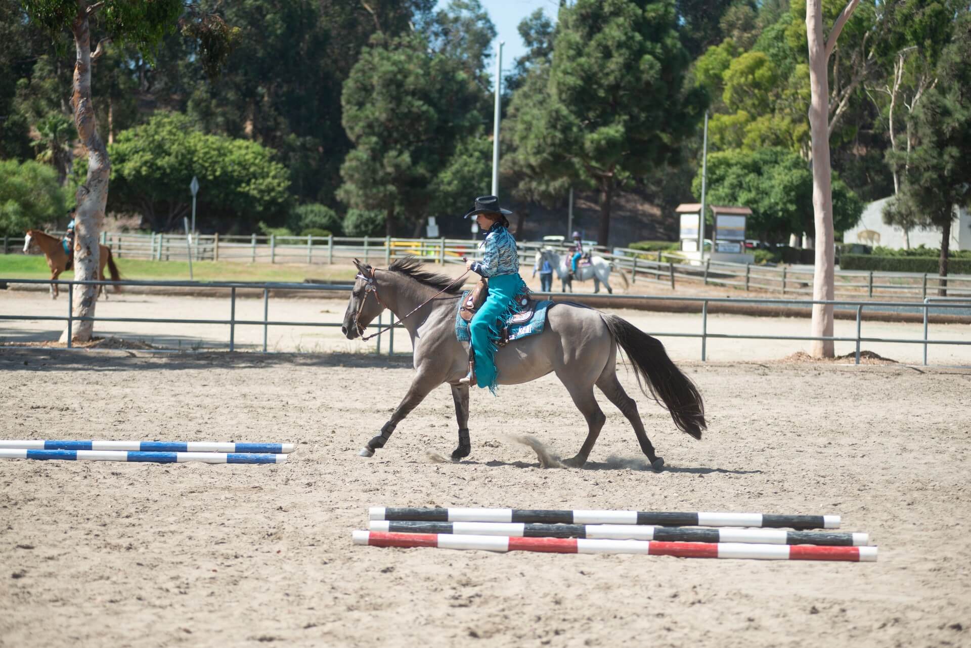 Horse Shows | Sunnyside Saddle Club - Bonita, Chula Vista